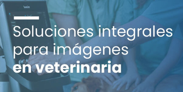 Tecnoimagen S.A.