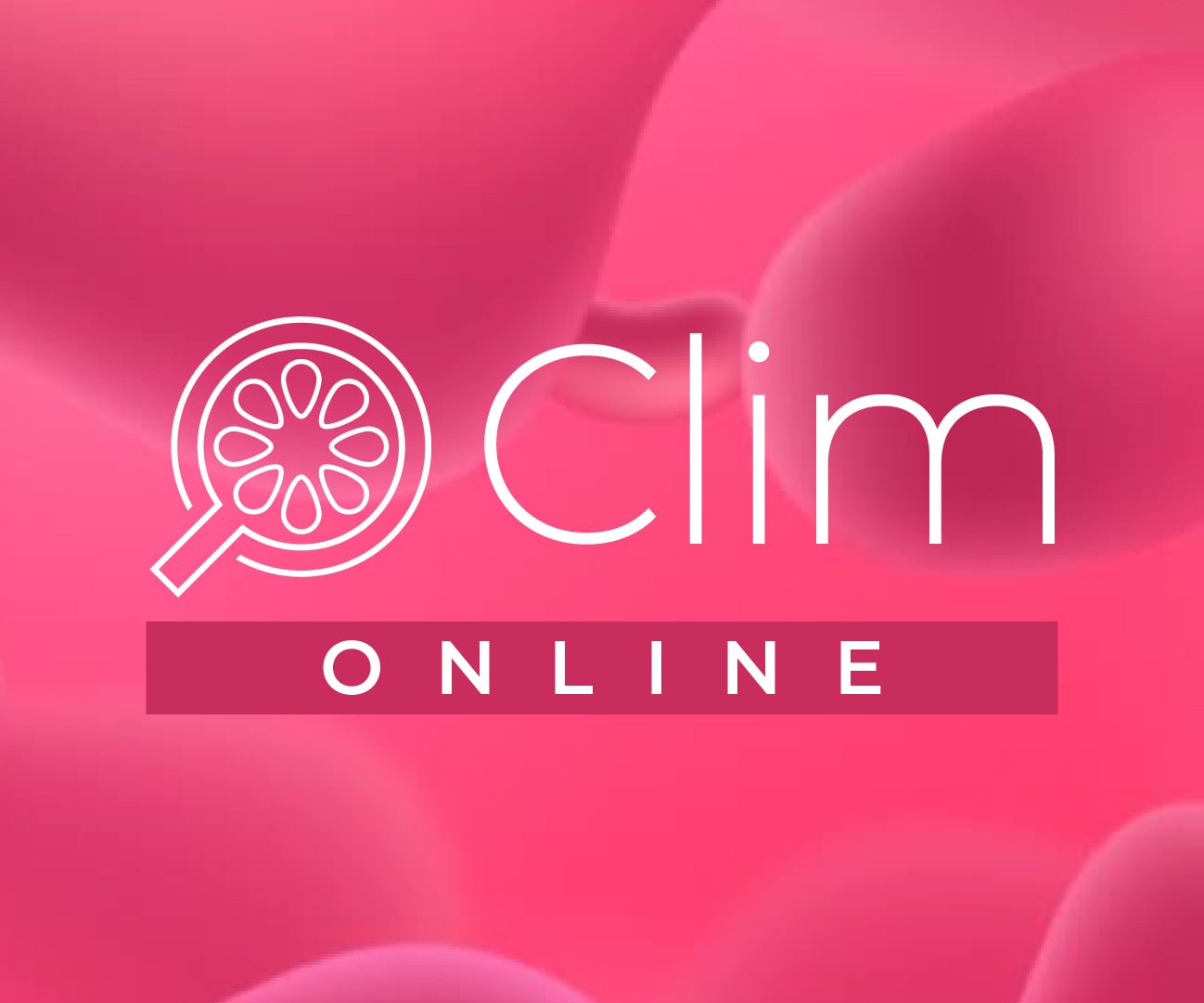 CLIM ONLINE